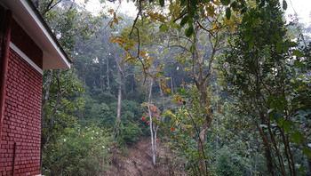 Falling Waters Munnar Exterior foto